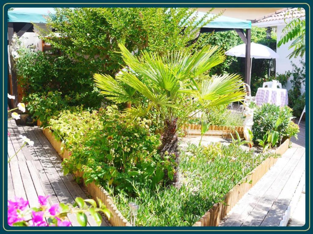 Apartmán Les Embruns Mimizan-Plage Exteriér fotografie